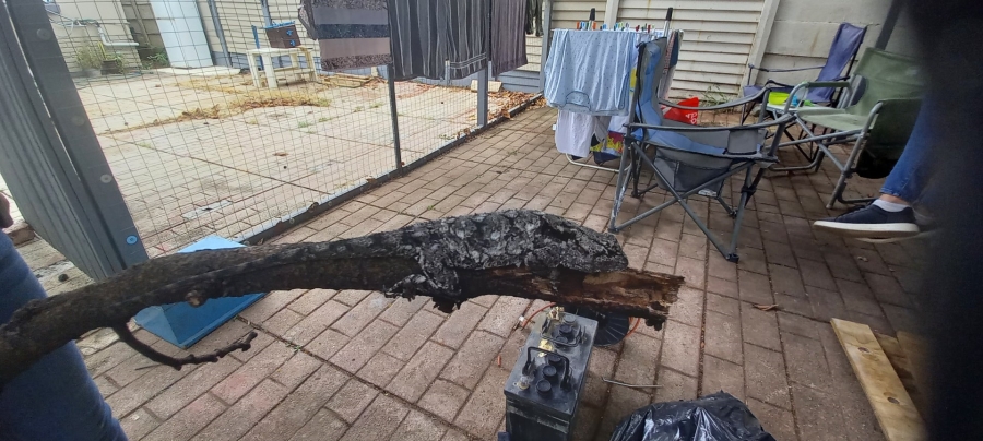 To Let 3 Bedroom Property for Rent in Annlin Gauteng