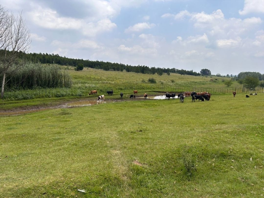 4 Bedroom Property for Sale in Kempton Park Ah Gauteng