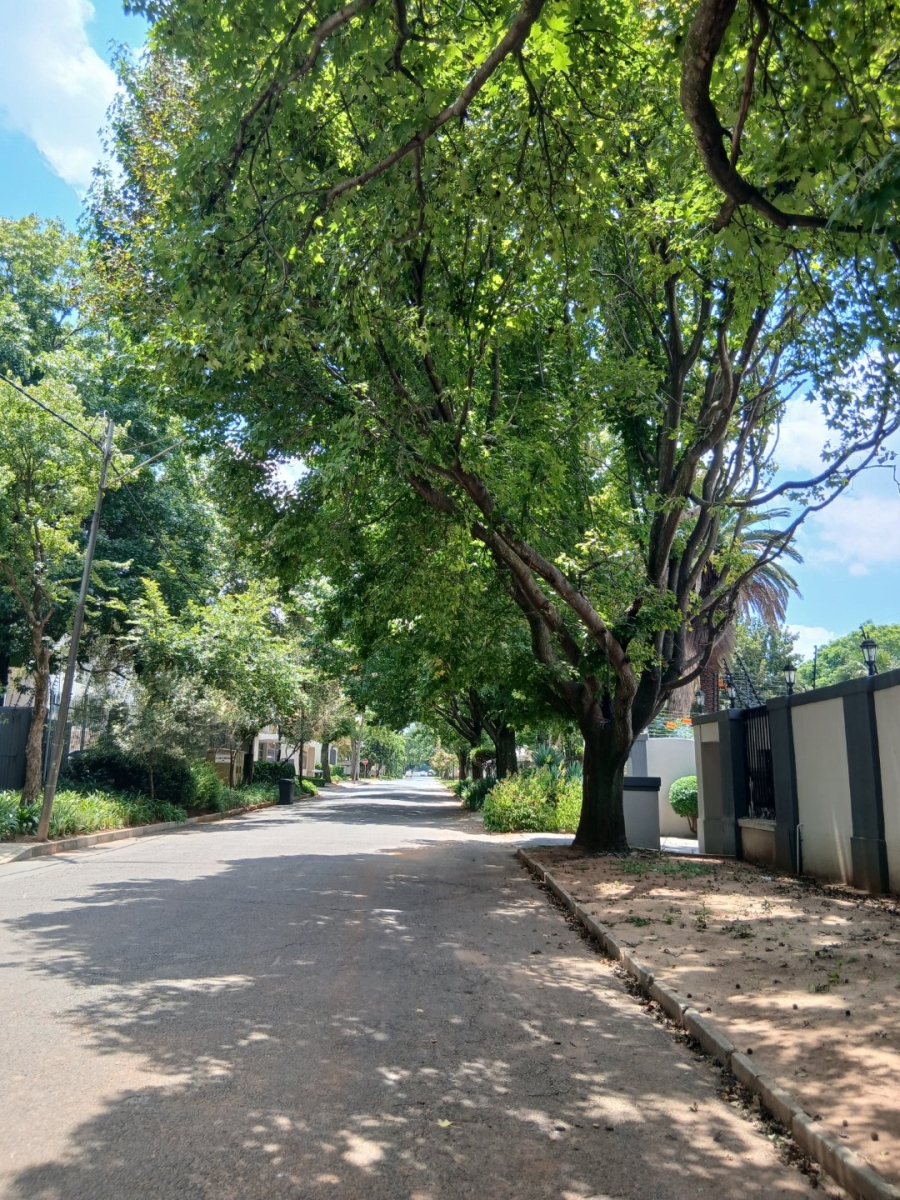 To Let 6 Bedroom Property for Rent in Houghton Estate Gauteng