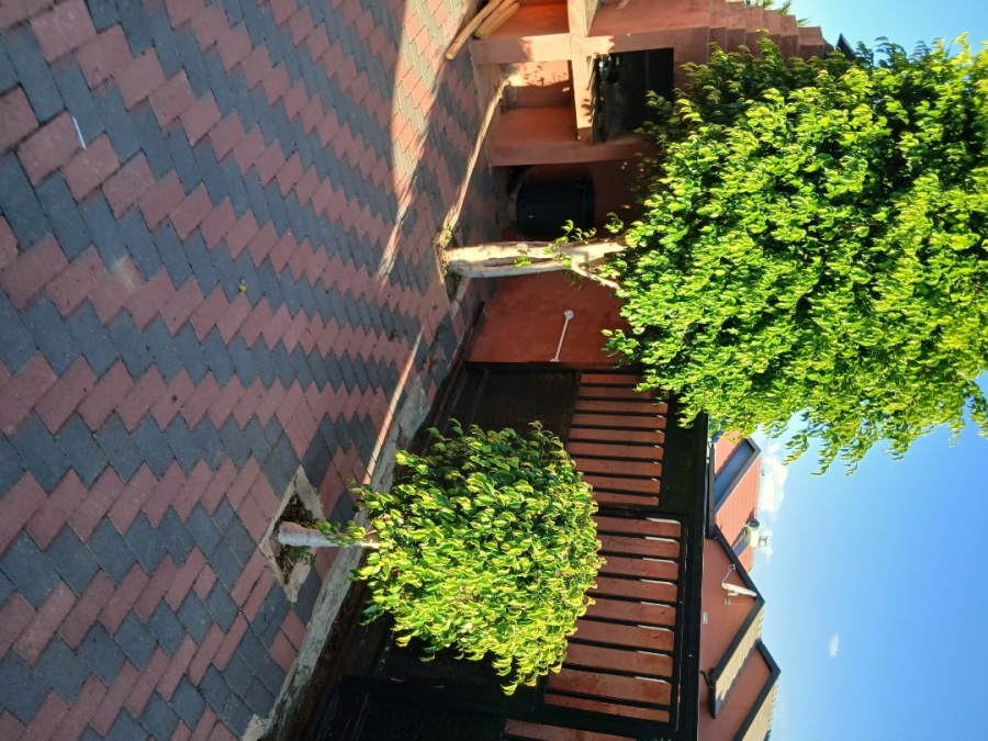 To Let 3 Bedroom Property for Rent in Soshanguve South Gauteng