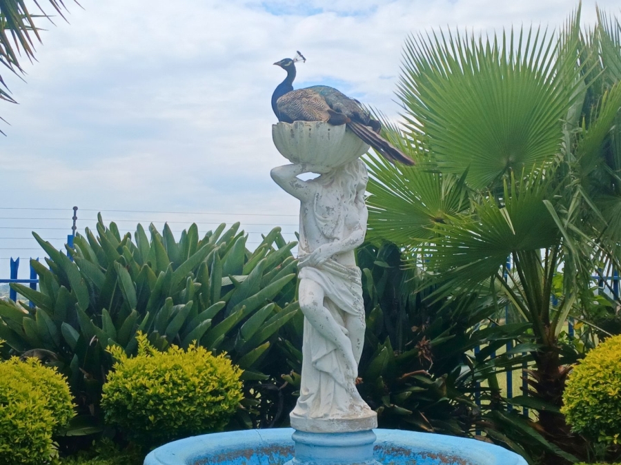 Commercial Property for Sale in Vasfontein AH Gauteng