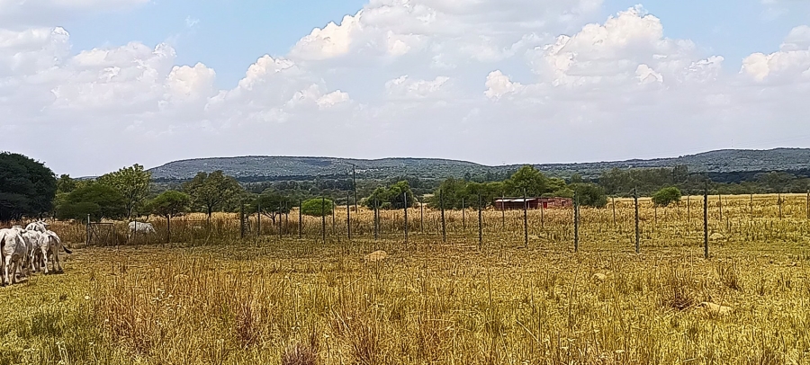 Commercial Property for Sale in Roodeplaat Gauteng