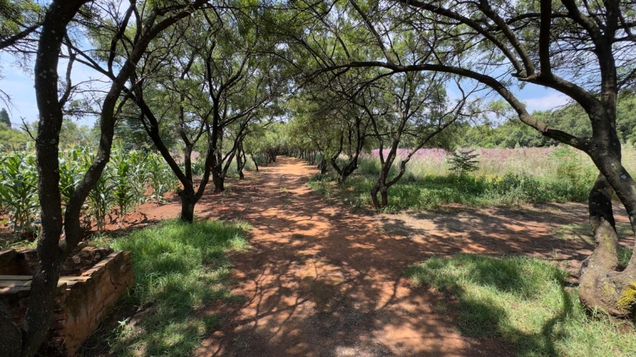 To Let commercial Property for Rent in Grootfontein Country Estate Gauteng