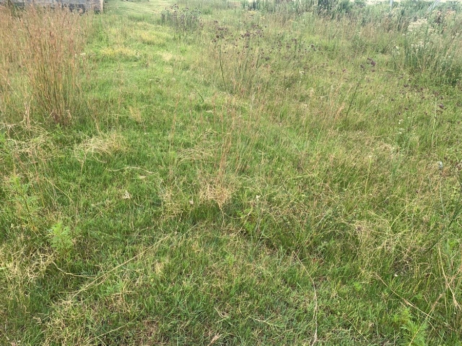 Commercial Property for Sale in Mohlakeng Gauteng