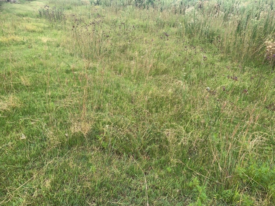 Commercial Property for Sale in Mohlakeng Gauteng