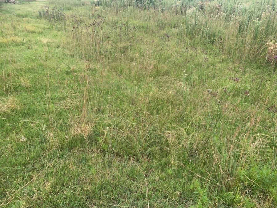 Commercial Property for Sale in Mohlakeng Gauteng