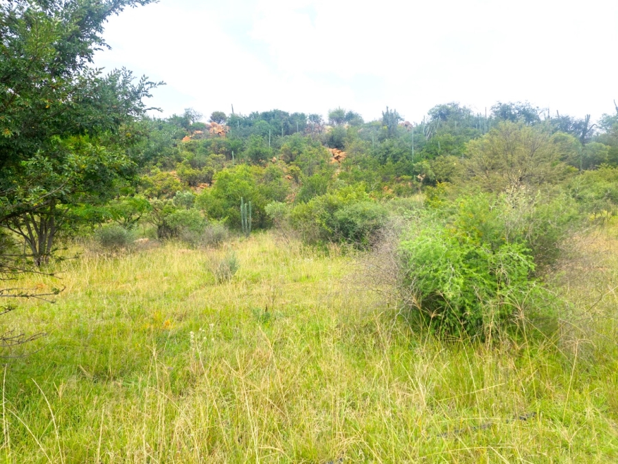 Commercial Property for Sale in Sonland Park Gauteng