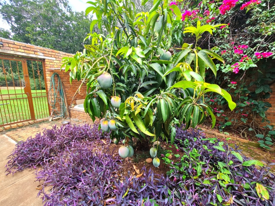 Commercial Property for Sale in Vasfontein AH Gauteng