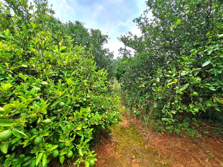 Commercial Property for Sale in Vasfontein AH Gauteng