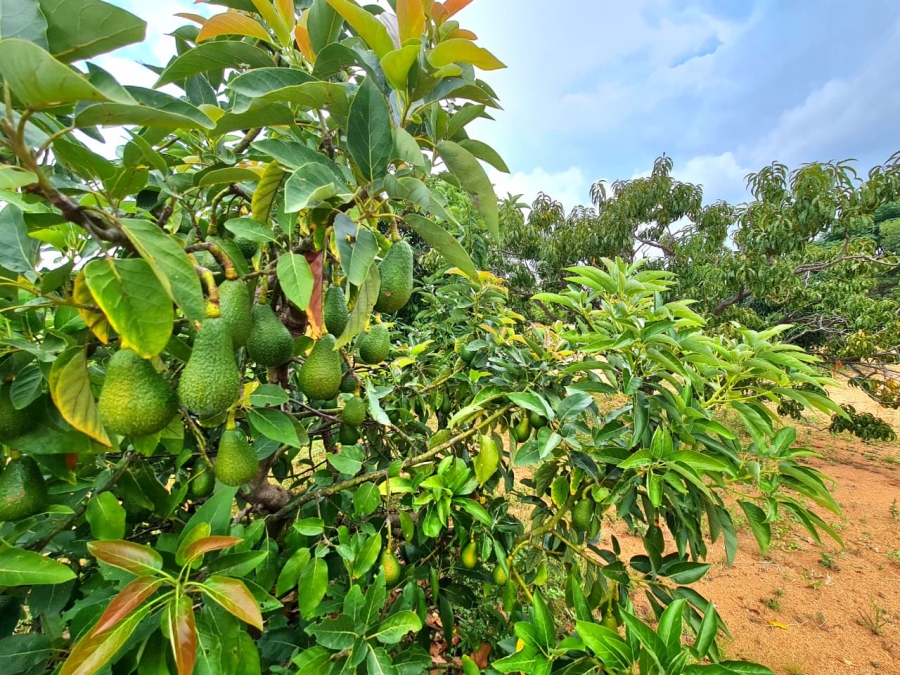 Commercial Property for Sale in Vasfontein AH Gauteng