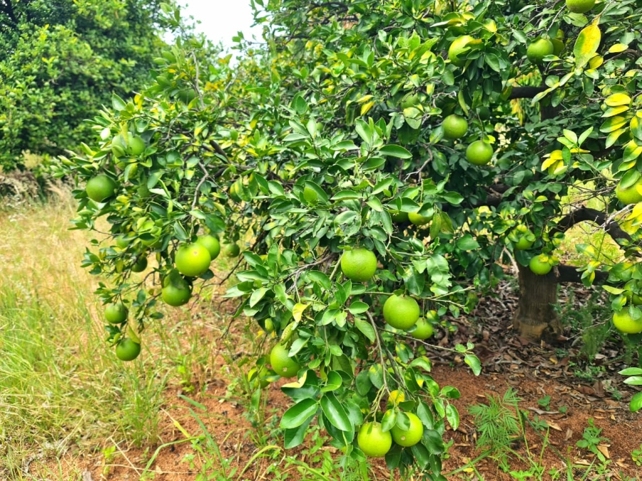 Commercial Property for Sale in Vasfontein AH Gauteng