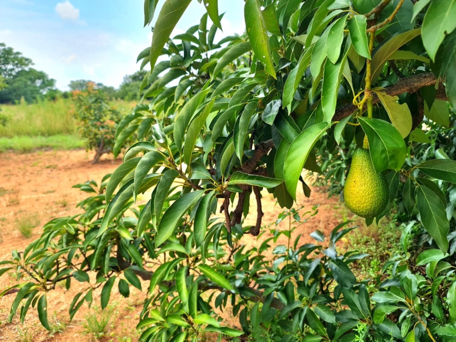 Commercial Property for Sale in Vasfontein AH Gauteng