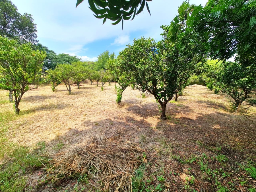 Commercial Property for Sale in Bultfontein A H Gauteng