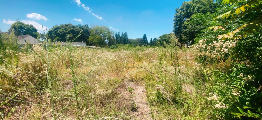 Commercial Property for Sale in Three Rivers Proper Gauteng