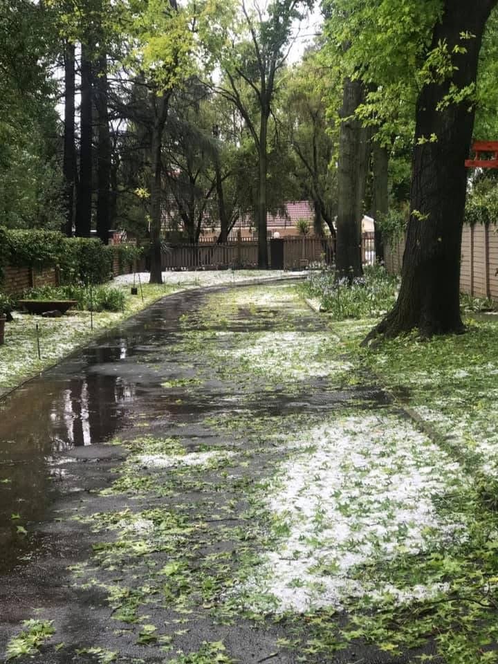 10 Bedroom Property for Sale in Three Rivers Proper Gauteng