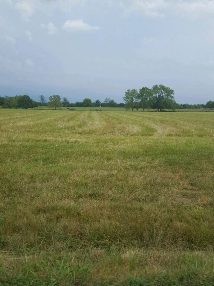 Commercial Property for Sale in Melrose Gauteng