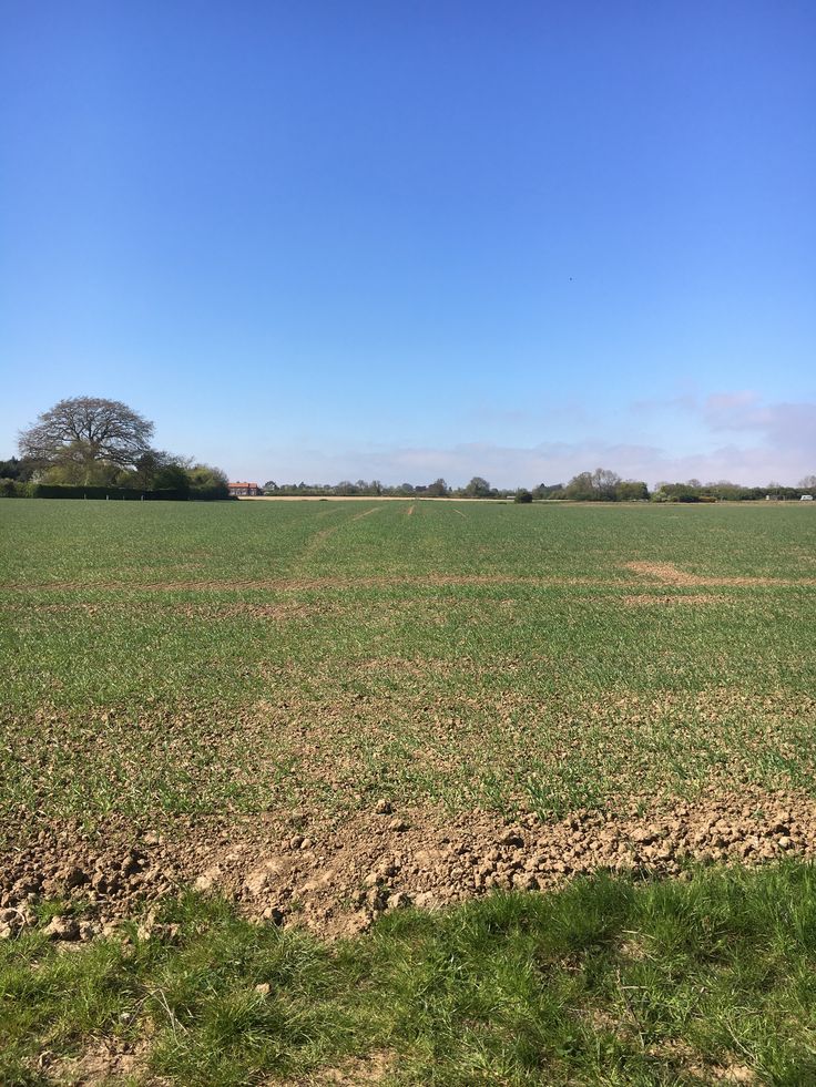 Commercial Property for Sale in Melrose Gauteng