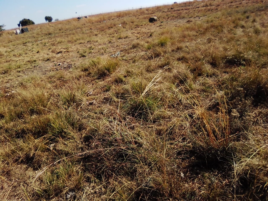 To Let commercial Property for Rent in Laezonia Gauteng