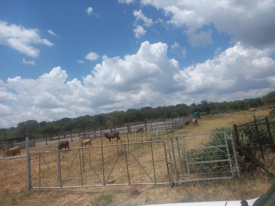 Commercial Property for Sale in Dinokeng Game Reserve Gauteng