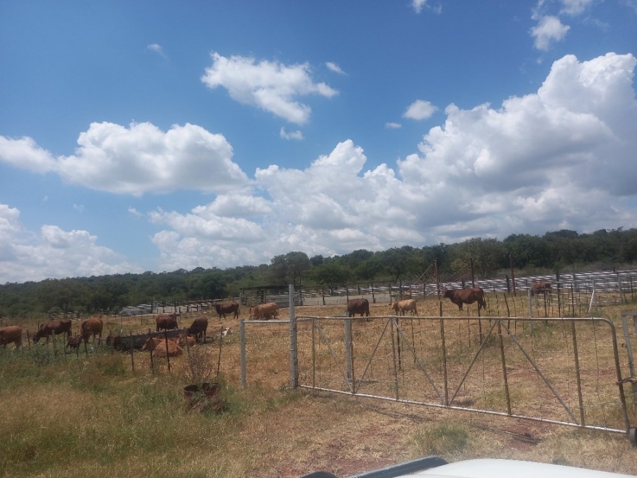 Commercial Property for Sale in Dinokeng Game Reserve Gauteng