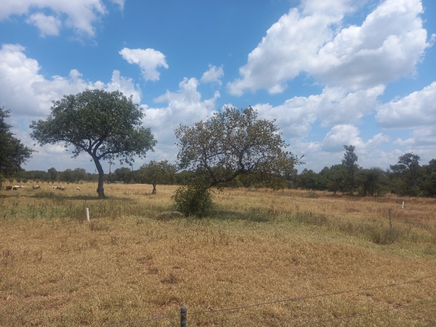 Commercial Property for Sale in Dinokeng Game Reserve Gauteng