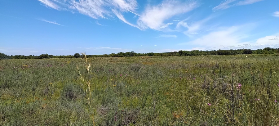 Commercial Property for Sale in Roodeplaat Gauteng