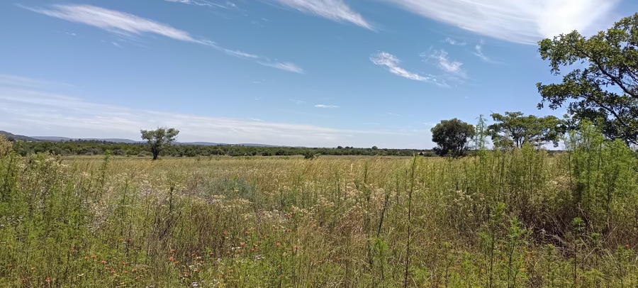 Commercial Property for Sale in Roodeplaat Gauteng