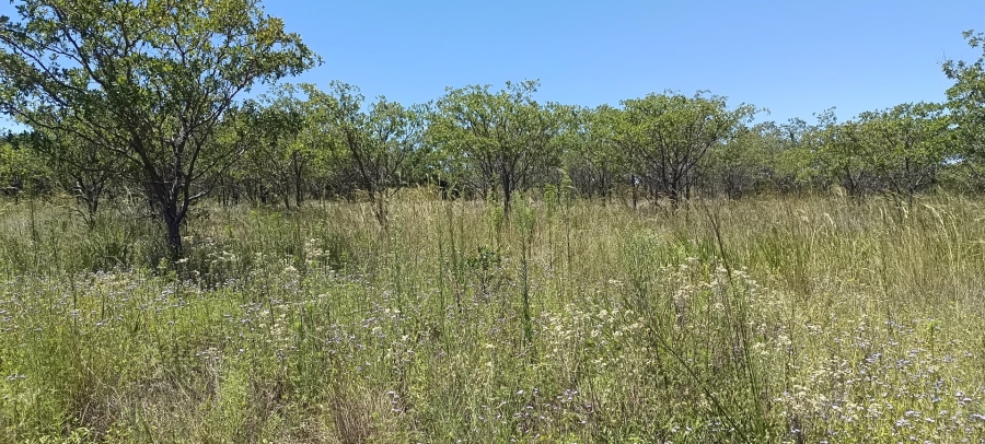 Commercial Property for Sale in Roodeplaat Gauteng