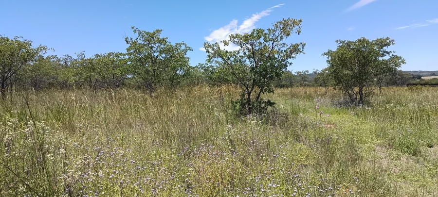 Commercial Property for Sale in Roodeplaat Gauteng