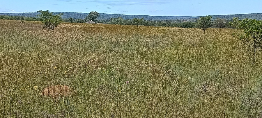 Commercial Property for Sale in Roodeplaat Gauteng