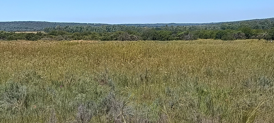 Commercial Property for Sale in Roodeplaat Gauteng