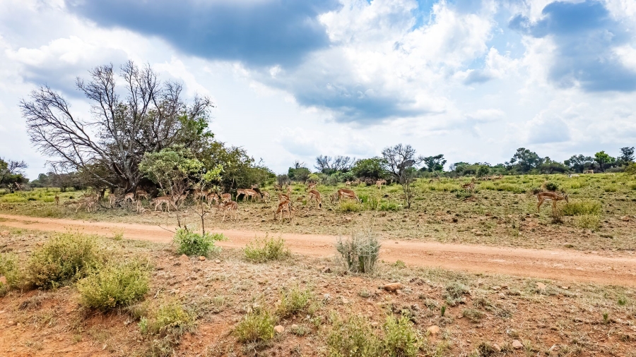  Bedroom Property for Sale in Kaallaagte Gauteng