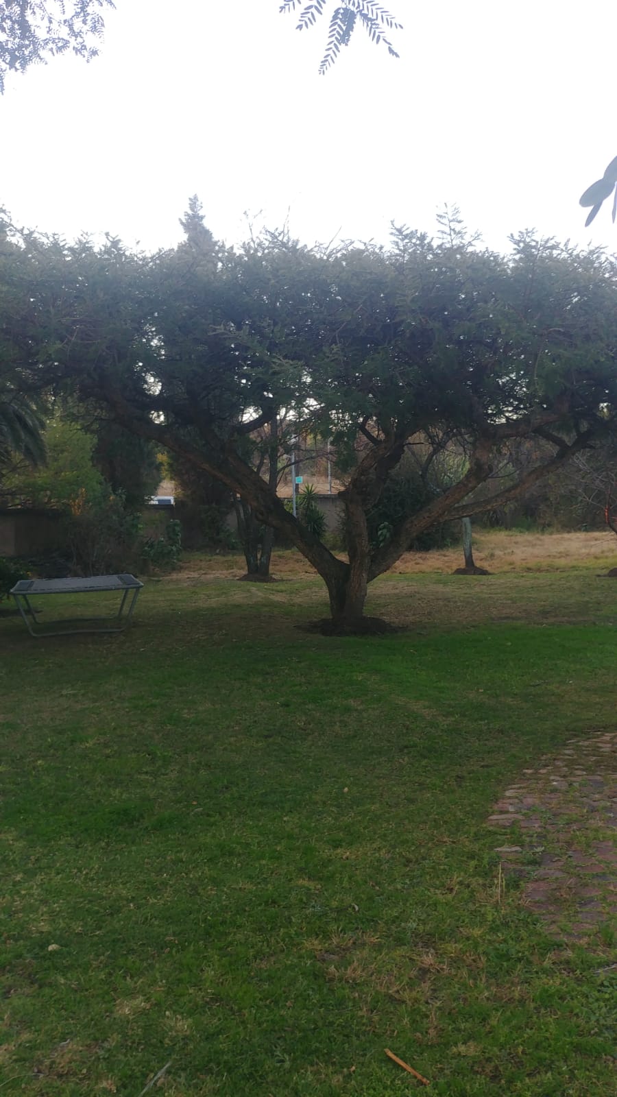 Commercial Property for Sale in Austinview Gauteng