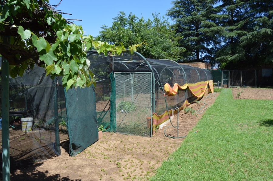 To Let 2 Bedroom Property for Rent in Glen Austin Gauteng