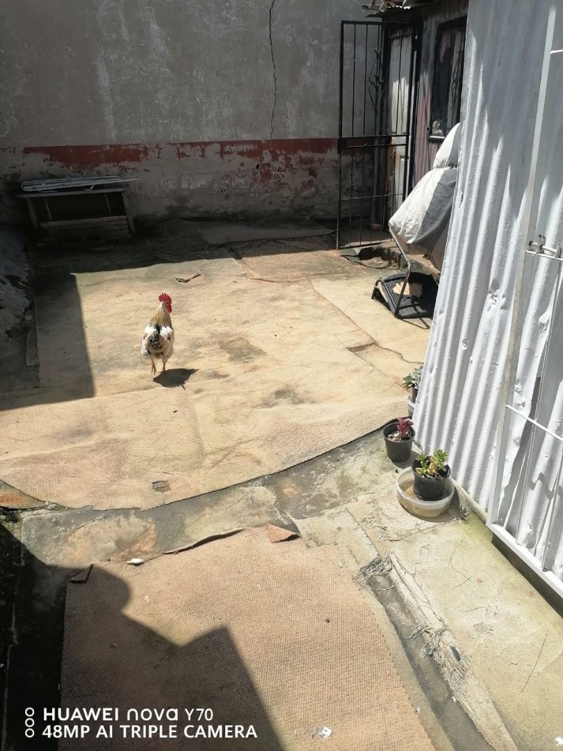 2 Bedroom Property for Sale in Tembisa Central Gauteng