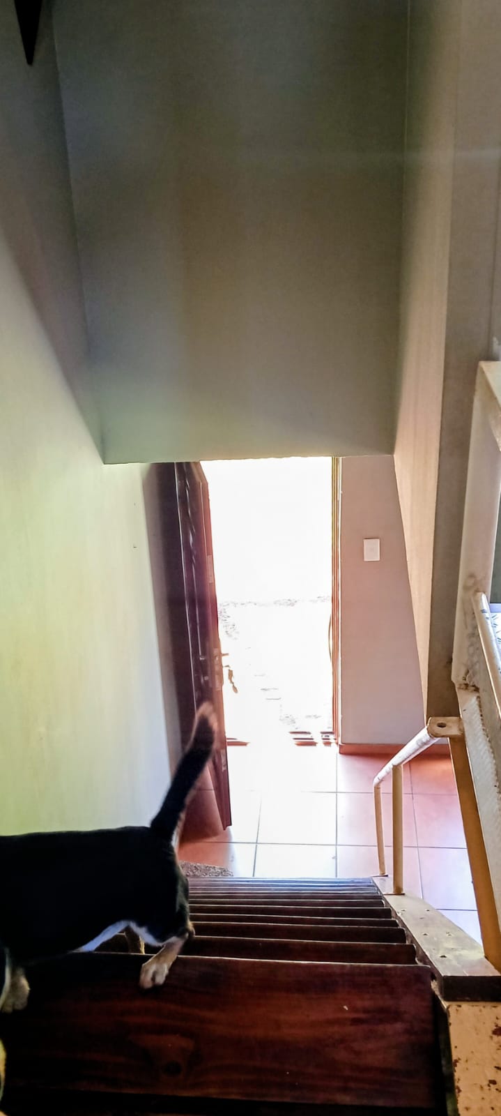 To Let 2 Bedroom Property for Rent in Tarlton Gauteng