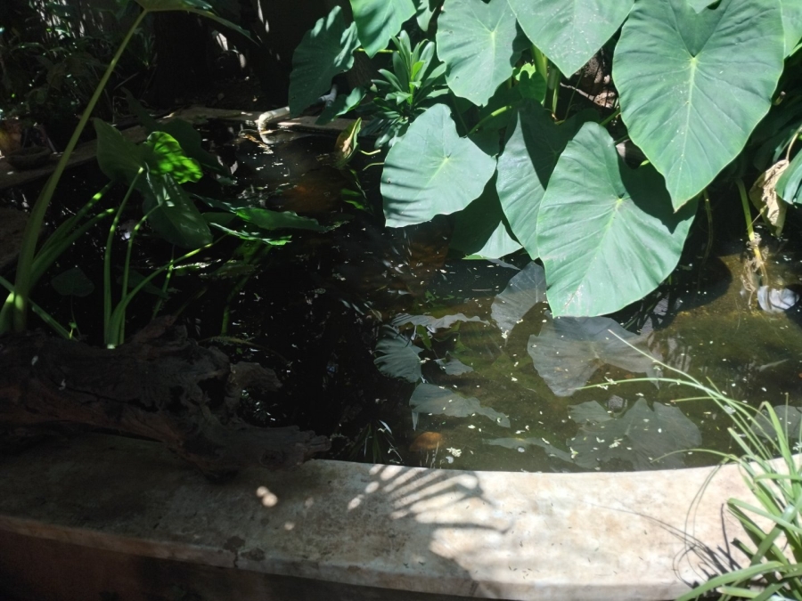 3 Bedroom Property for Sale in Kensington Gauteng