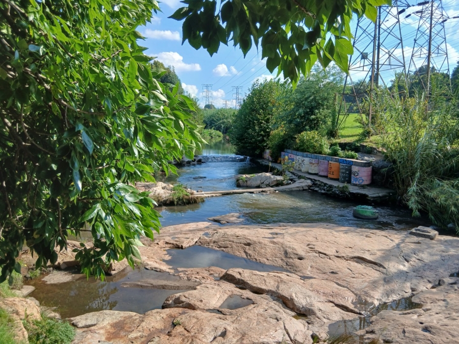 3 Bedroom Property for Sale in Craighall Park Gauteng