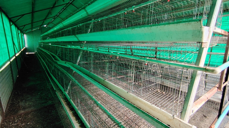 4 Bedroom Property for Sale in Nelsonia Gauteng