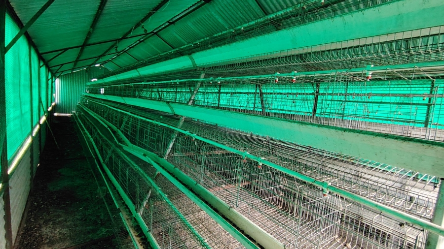 4 Bedroom Property for Sale in Nelsonia Gauteng