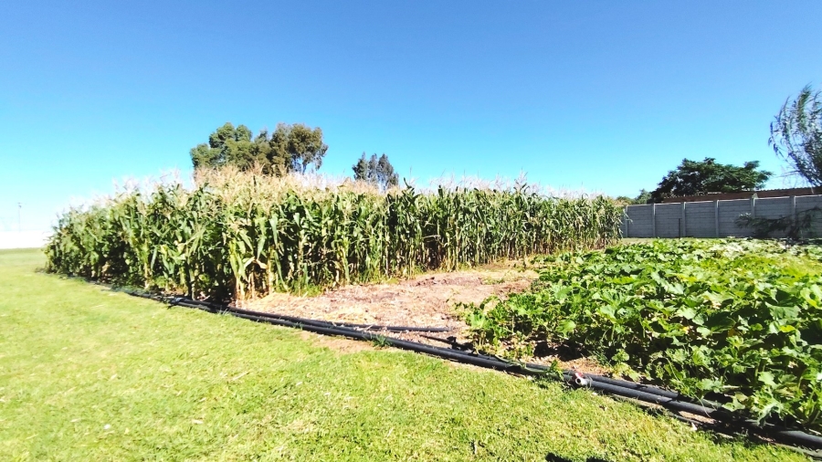 Commercial Property for Sale in Boltonwold Gauteng