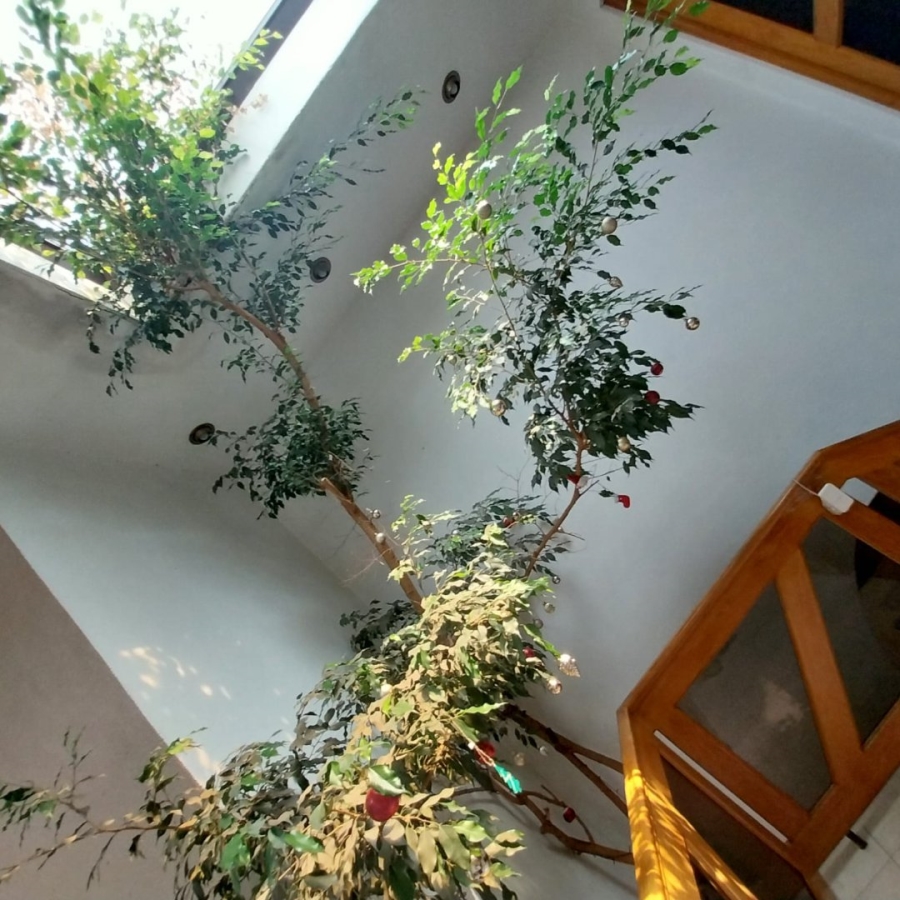 5 Bedroom Property for Sale in Sunward Park Gauteng