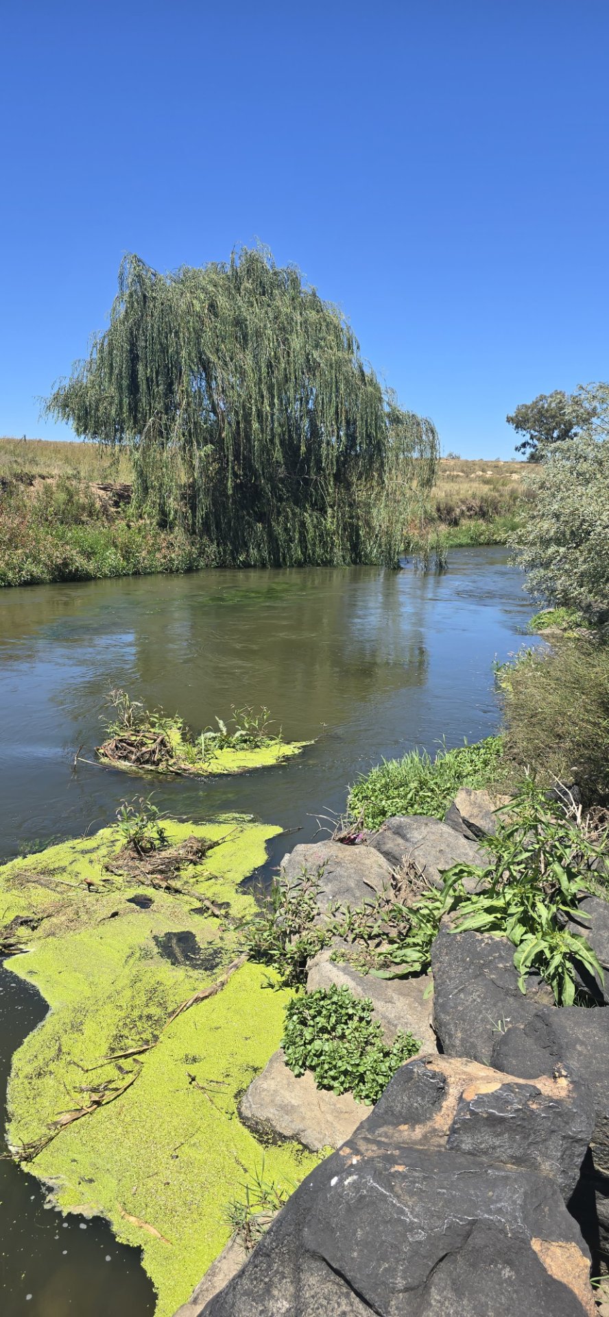 Commercial Property for Sale in Klippoortje A H Gauteng