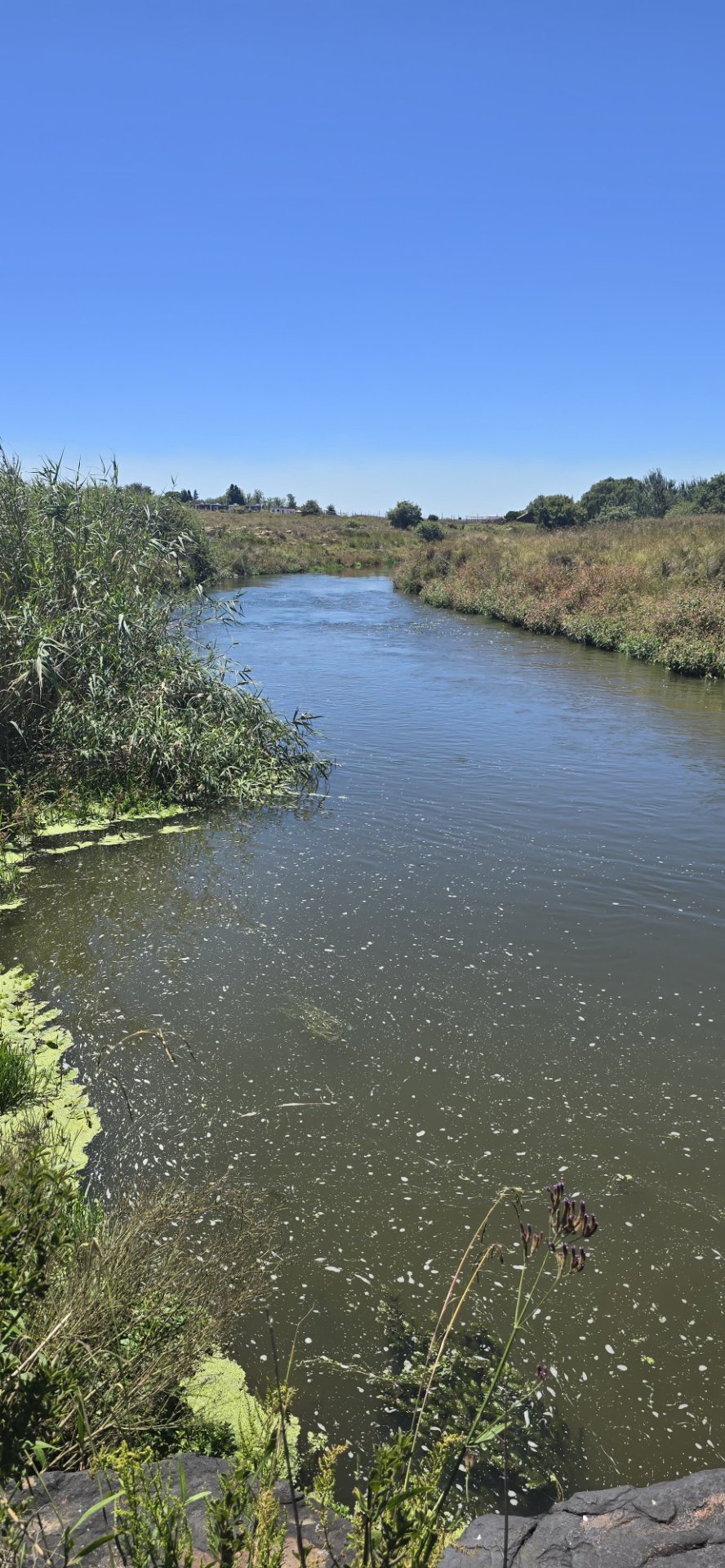 Commercial Property for Sale in Klippoortje A H Gauteng