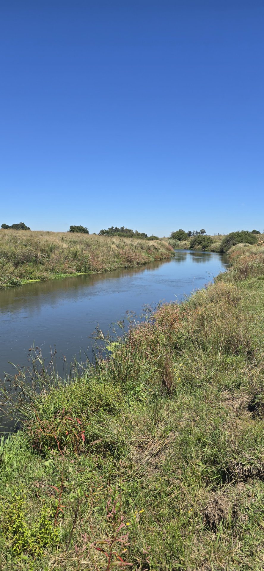 Commercial Property for Sale in Klippoortje A H Gauteng