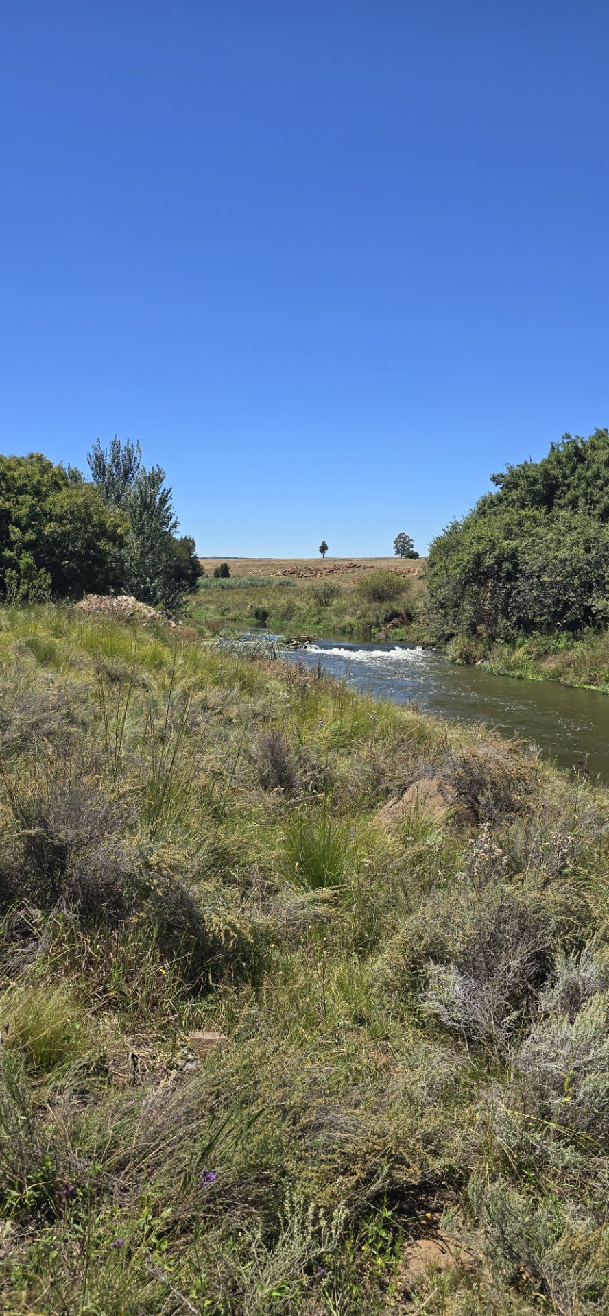 Commercial Property for Sale in Klippoortje A H Gauteng