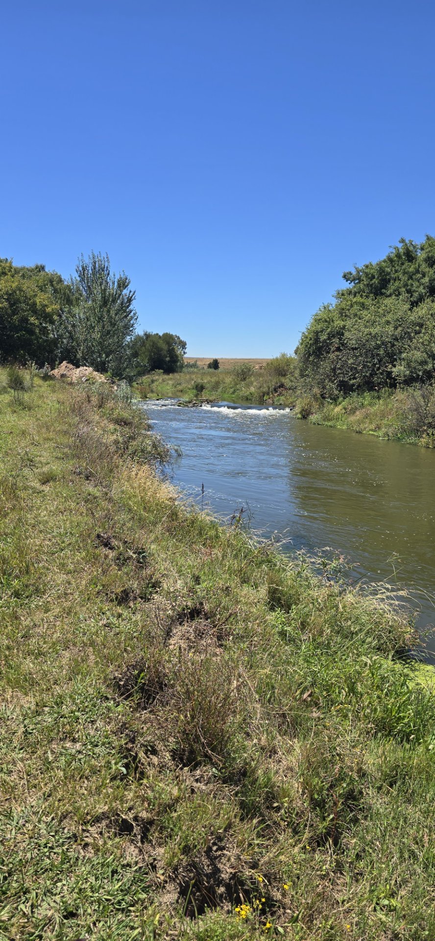 Commercial Property for Sale in Klippoortje A H Gauteng