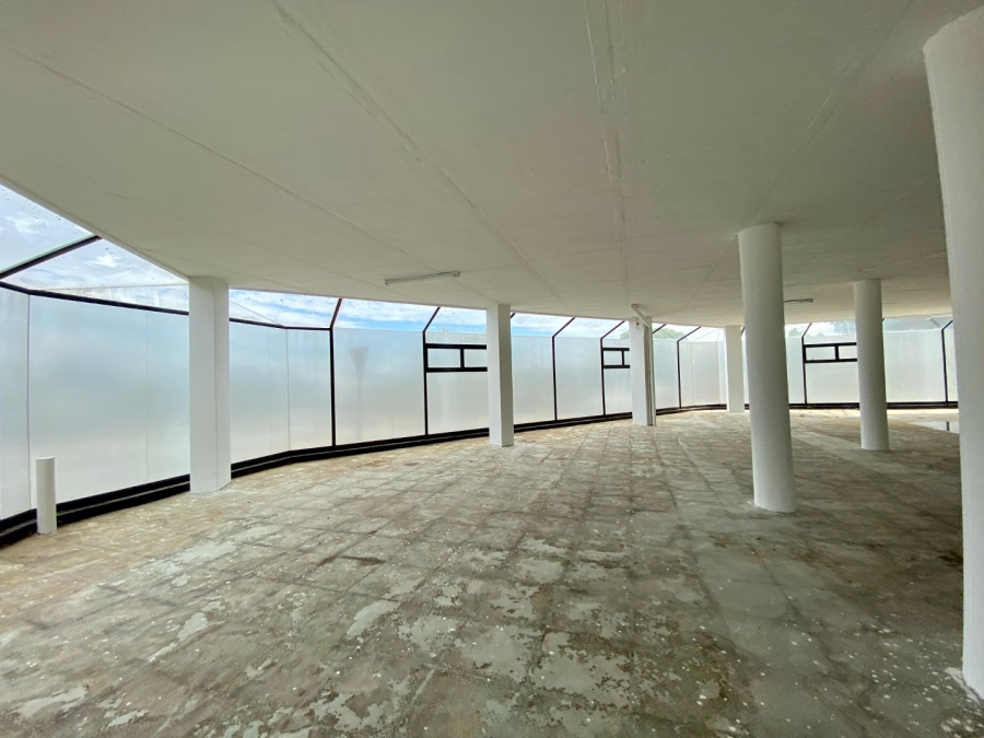 To Let commercial Property for Rent in Randburg Central Gauteng