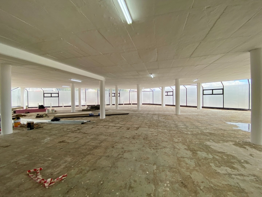 To Let commercial Property for Rent in Randburg Central Gauteng