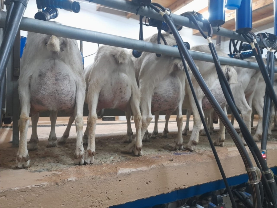 3 Bedroom Property for Sale in Heidelberg Rural Gauteng